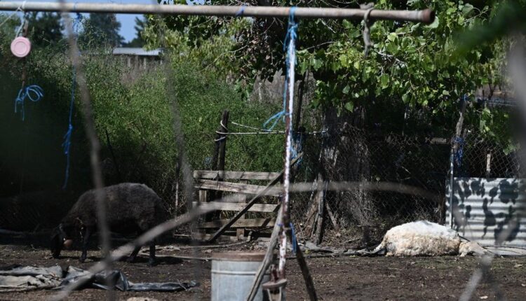 υγειονομική βόμβα