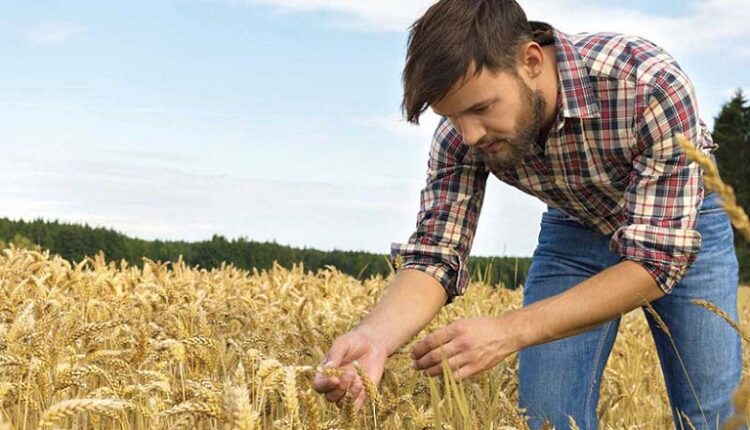 Νέοι Αγρότες