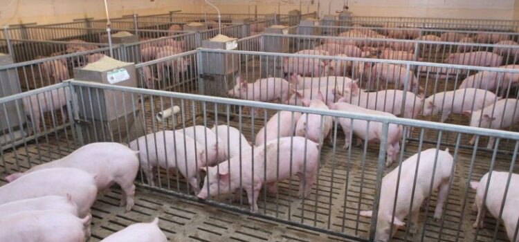 Παράταση αιτήσεων