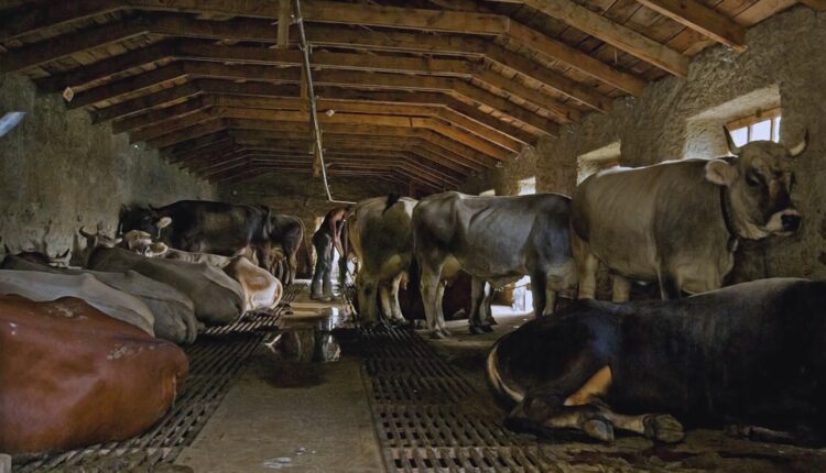 Πληρωμές προκαταβολής