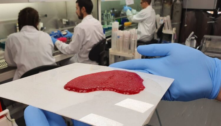 Καλλιεργημένο κρέας