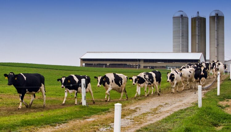 Έκθεση Appetite For Change