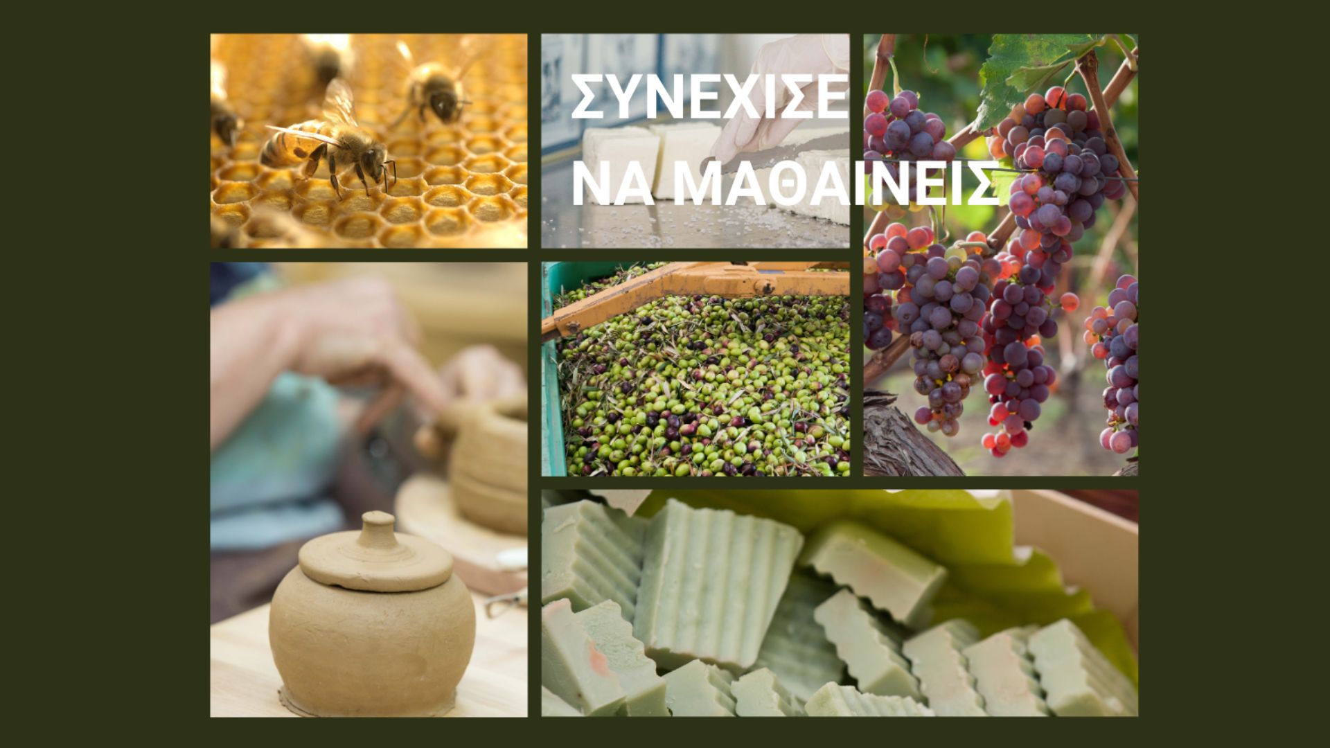 Αμερικάνικη Γεωργική Σχολή: 5 βιωματικά σεμινάρια ενηλίκων
