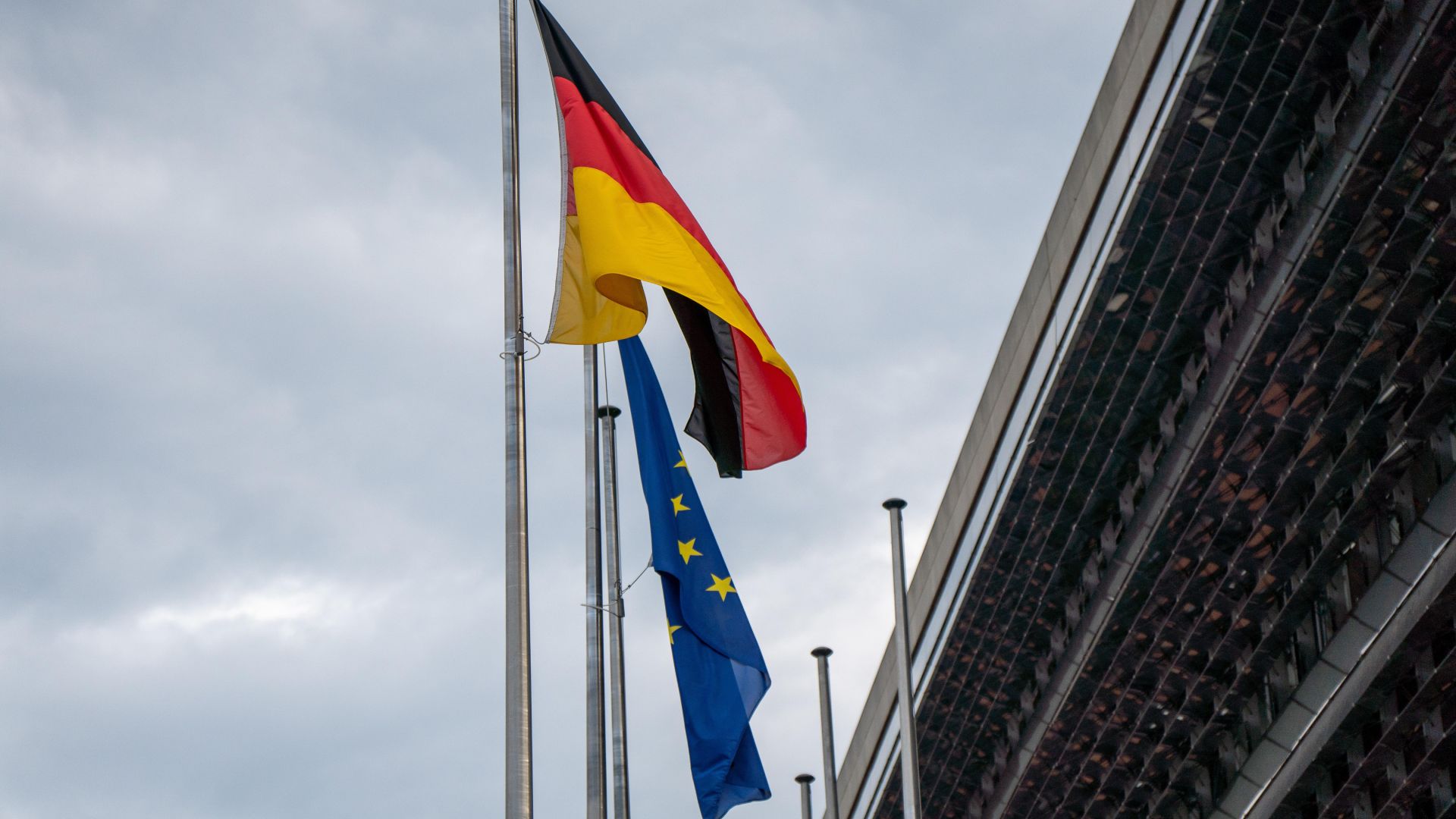 Γερμανία: 1 δισ. ευρώ από την Ε.Ε. για την καλή διαβίωση των χοίρων