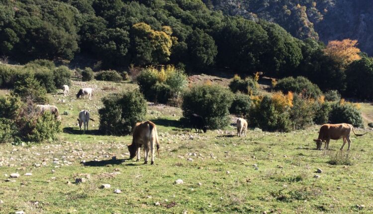 ΥπΑΑΤ: Συνέδριο Ανάπτυξης Ορεινών Όγκων και Μειονεκτικών περιοχών μέσω LEADER