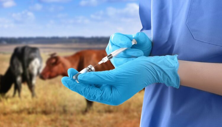 ΕΕ: Χαμηλά τα υπολείμματα κτηνιατρικών φαρμάκων σε ζώα και τρόφιμα