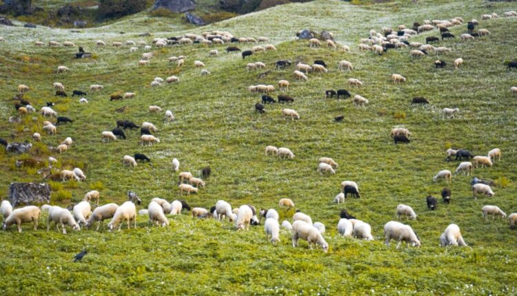 Εξισωτική αποζημίωση 2024