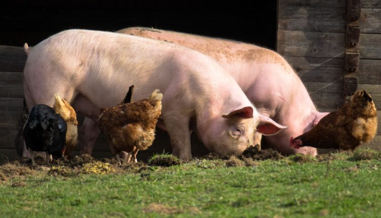 παρακάρλιων περιοχών