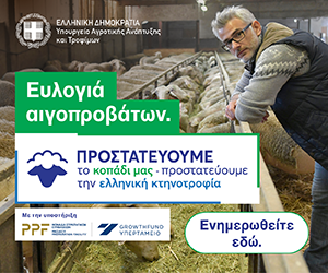 evlogia 300×250 from 17/6/26 till 5/7/26